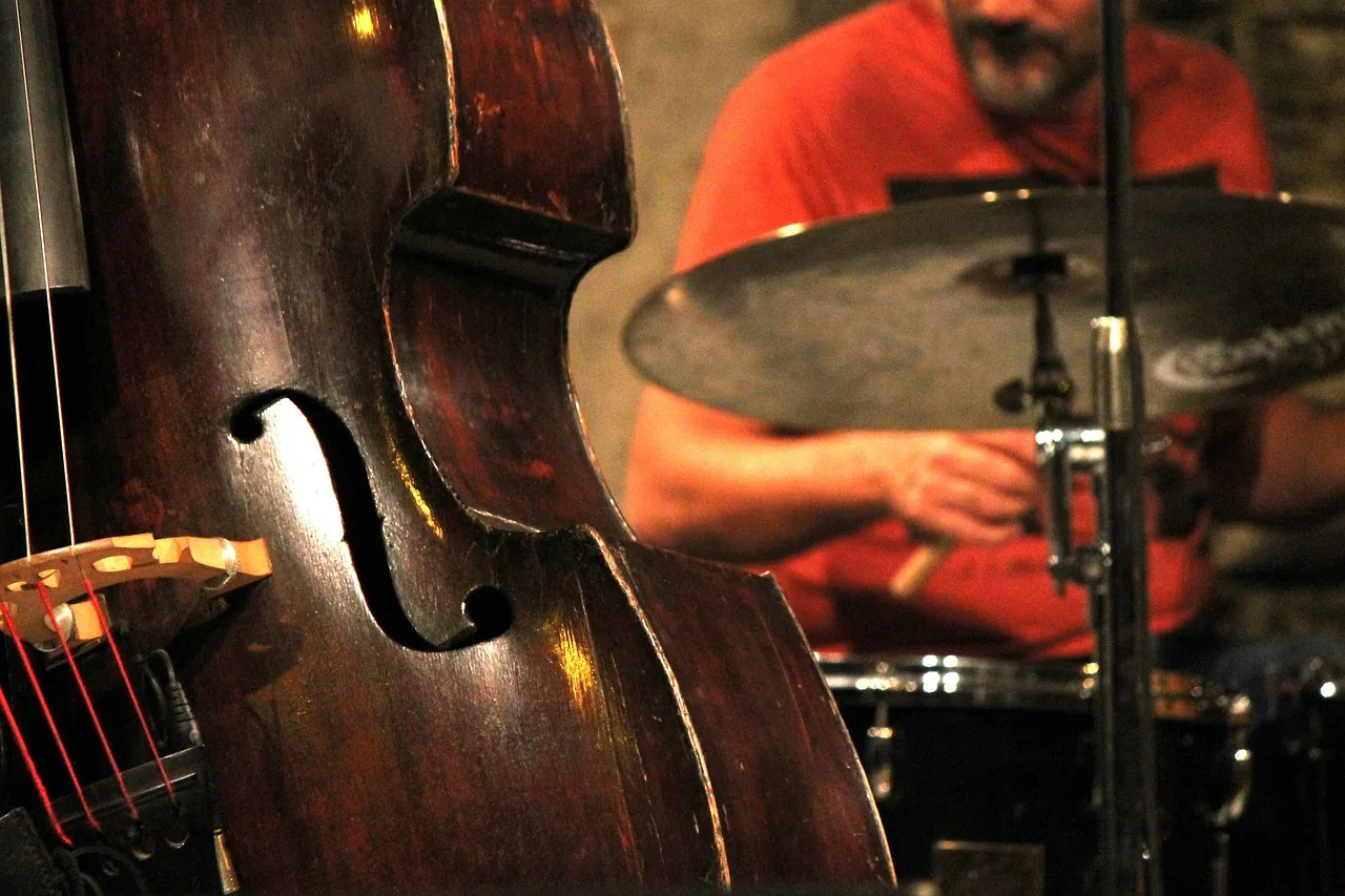 Double bassist and drummer in concert Double bassist and drummer in concert