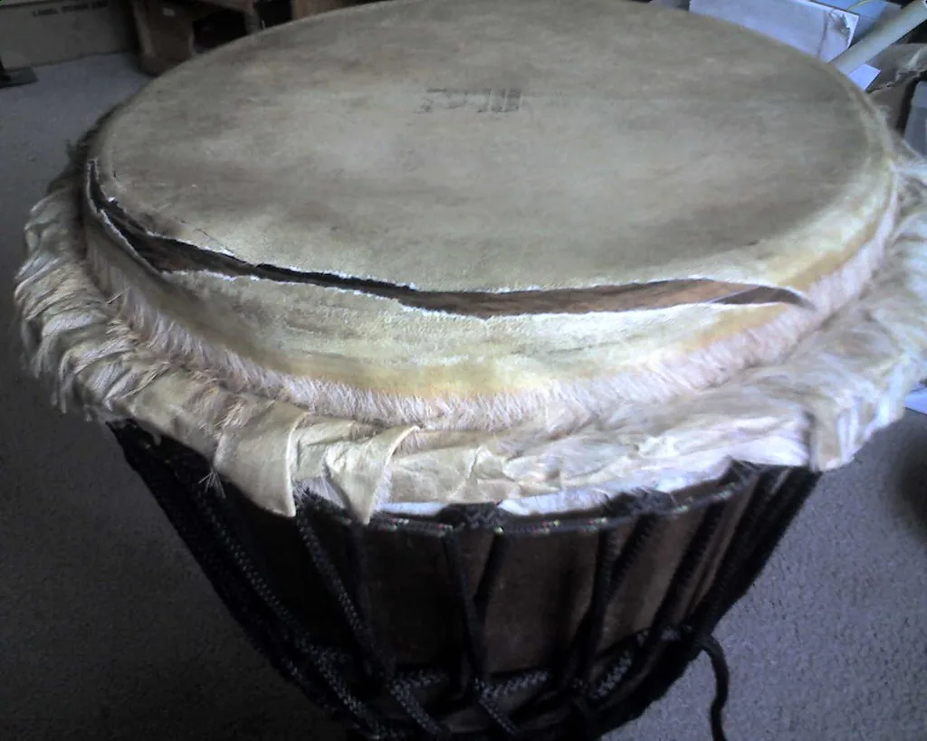 Which skin for a djembe?
